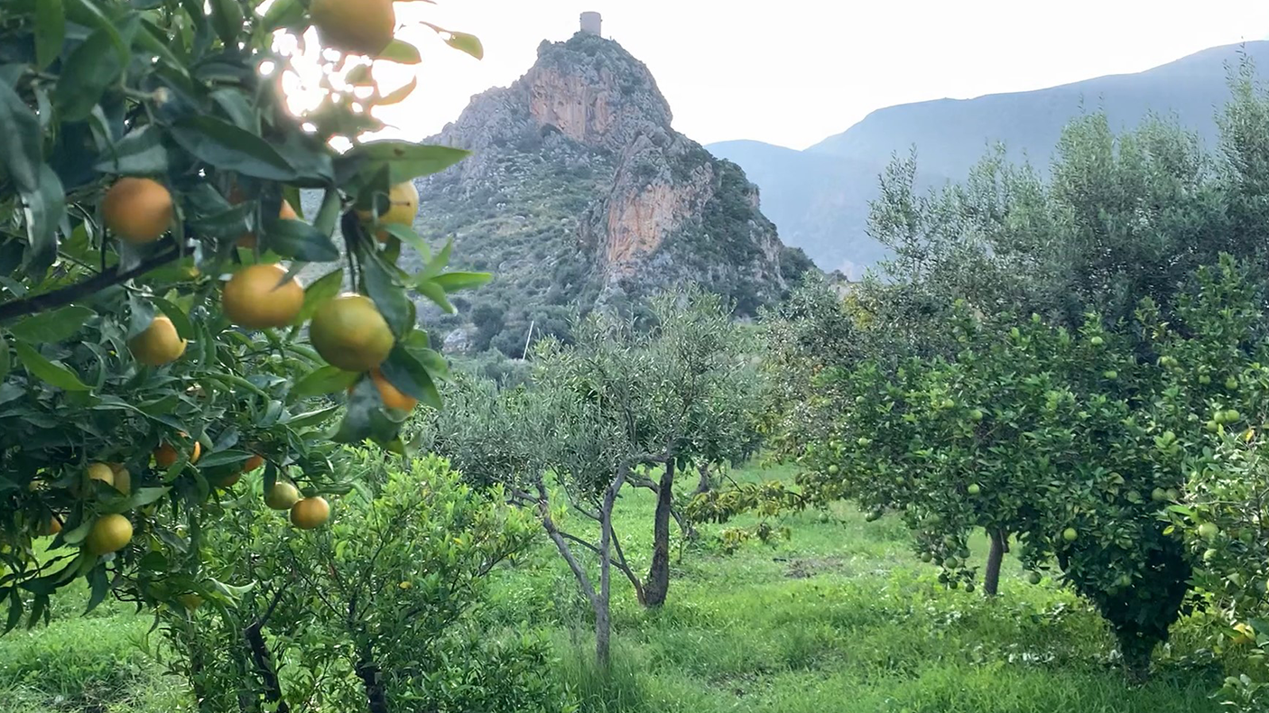 Award-Winning Taste: Sicilian Drinks awarded Two Great Taste stars