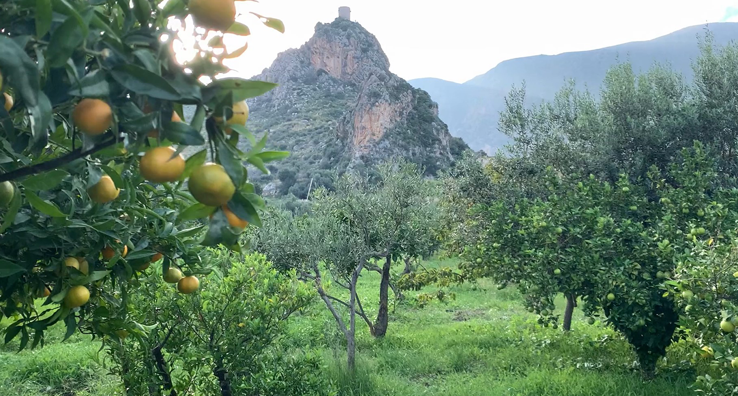 Award-Winning Taste: Sicilian Drinks awarded Two Great Taste stars