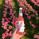Rhubarb Non Alcoholic Organic Drinks 
